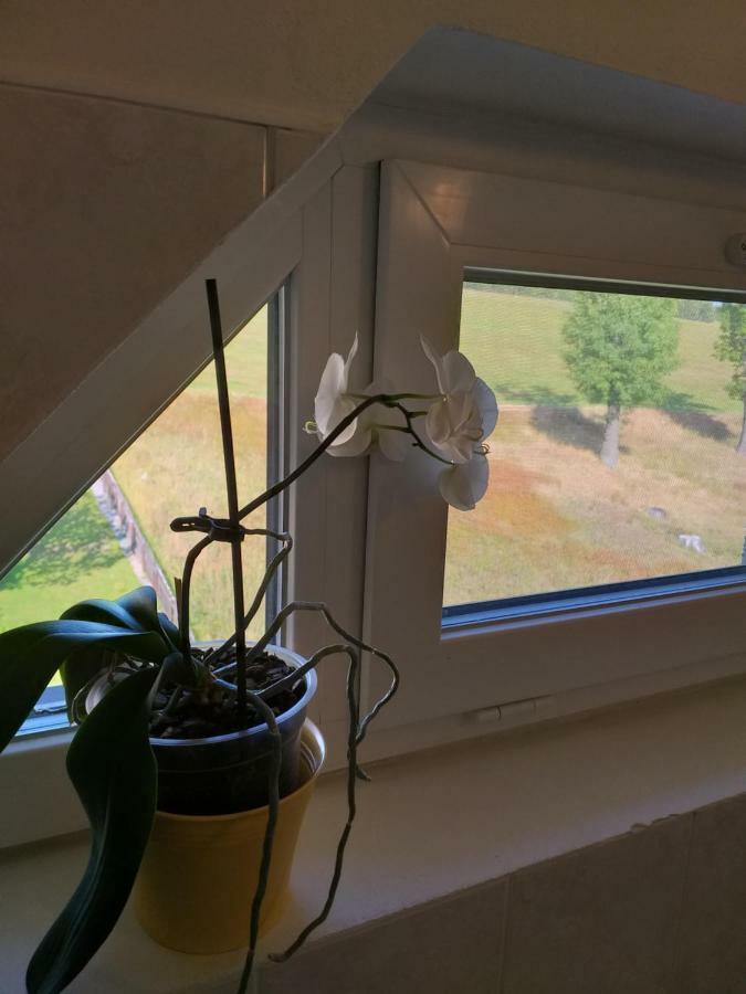 U Pohody Otel Kovářská Dış mekan fotoğraf